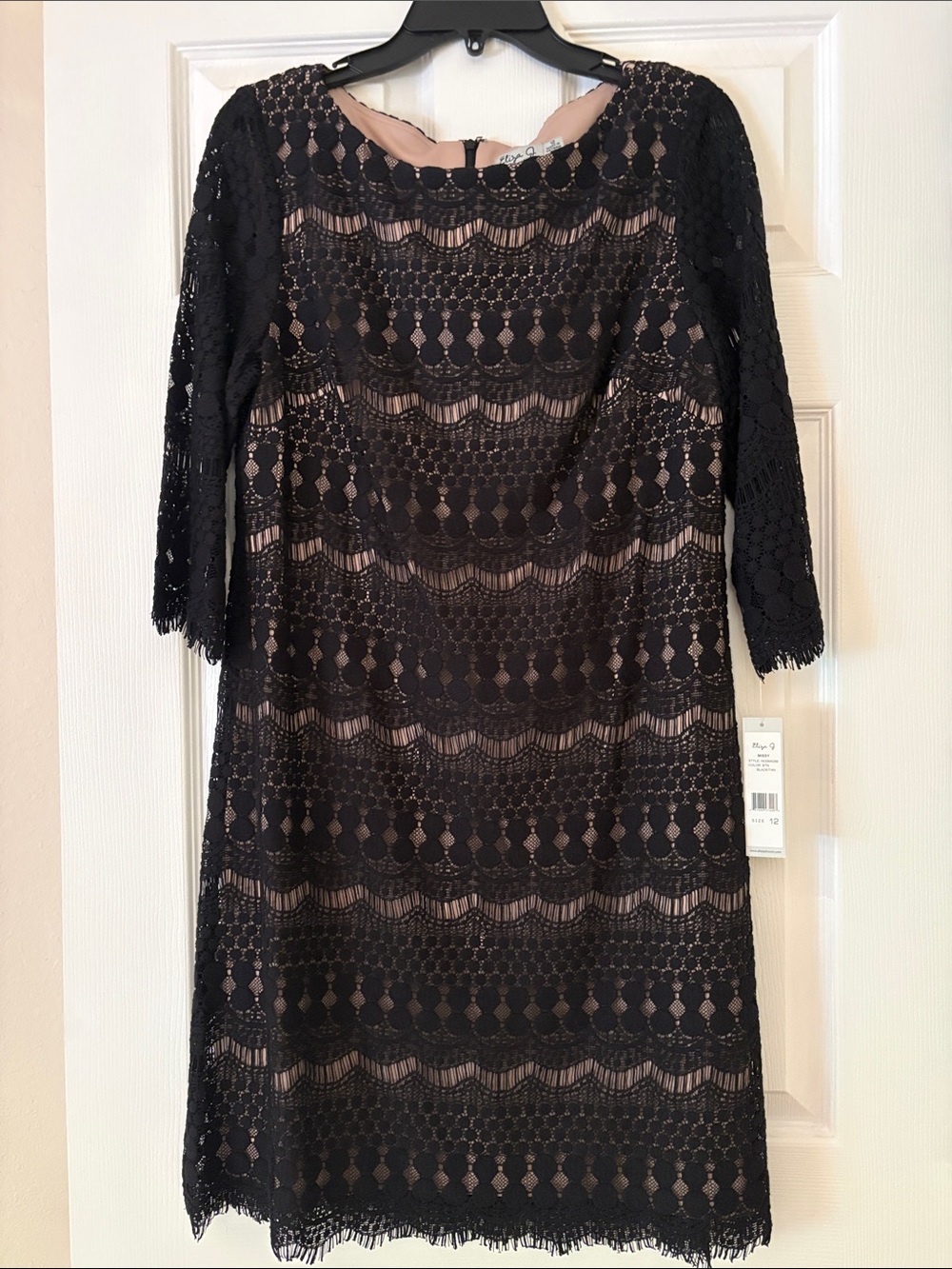 Eliza J Black Lace Overlay Sheath Dress with Nude Lining